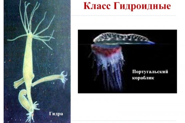 Что такое кракен площадка