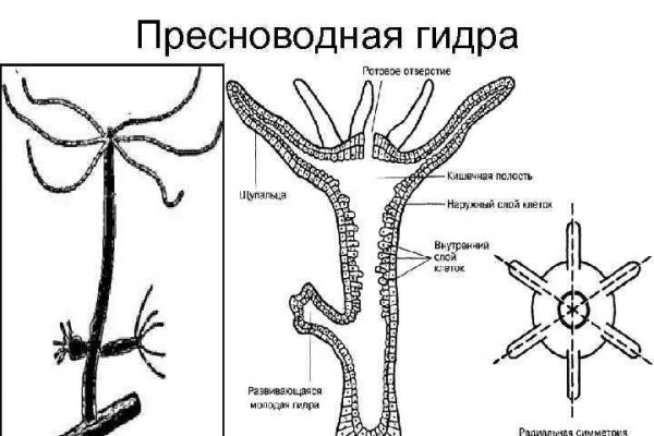 Браузер для кракен